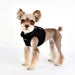 PUPPIA TERRY HARNESS B, Harness - Bones Bizzness