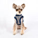 PUPPIA AUDEN HARNESS B, Harness - Bones Bizzness