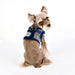 PUPPIA AUDEN HARNESS B, Harness - Bones Bizzness