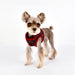 PUPPIA ELLIOTT HARNESS B, Harness - Bones Bizzness