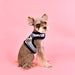 JOY PINKA DOG HARNESS