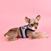 JOY PINKA DOG HARNESS - WINE