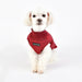 WAGNER PUPPIA DOG COAT - DK BLUE, Shirts Tanks & Tees - Bones Bizzness