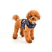 MIRABELLE PINKA DOG HARNESS - NAVY