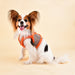 PUPPIA AUDEN HARNESS B, Harness - Bones Bizzness