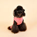 EVELYN DOG JUMPER COAT HOODIE, Shirts Tanks & Tees - Bones Bizzness