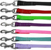 BEAUTIFUL PLAIN NYLON DOG LEASHES (16 COLORS), Leash - Bones Bizzness