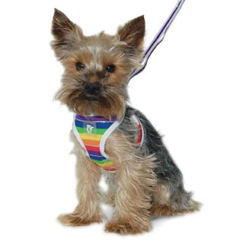 EASYGO RAINBOW DOG HARNESS, Harness - Bones Bizzness