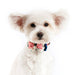 NAUTICAL DOG EASYBOW  2, ACCESSORIES - Bones Bizzness