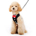 EASYGO BOWTIE BLACK DOG HARNESS, Harness - Bones Bizzness