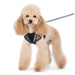 EASYGO DENIM DOG HARNESS, Harness - Bones Bizzness