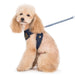 EASYGO DENIM DOG HARNESS, Harness - Bones Bizzness