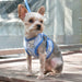 PINEAPPLE BLUE EASYGO DOG HARNESS, Harness - Bones Bizzness