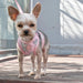 PINEAPPLE PINK EASYGO DOG HARNESS, Harness - Bones Bizzness