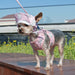 PINEAPPLE PINK EASYGO DOG HARNESS, Harness - Bones Bizzness