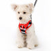 EASYGO POLO DOG ALL-IN-ONE HARNESS, Harness - Bones Bizzness