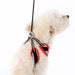 EASYGO POLO DOG ALL-IN-ONE HARNESS, Harness - Bones Bizzness