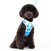 EASYGO POLO DOG ALL-IN-ONE HARNESS, Harness - Bones Bizzness