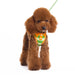 EASYGO POLO GREEN ALL-IN-ONE DOG HARNESS, Harness - Bones Bizzness