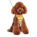 EASYGO POLO GREEN ALL-IN-ONE DOG HARNESS, Harness - Bones Bizzness