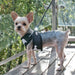 SOCCER EASYGO DOG HARNESS, Harness - Bones Bizzness