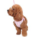 EASYGO SWEET BOW DOG HARNESS, Harness - Bones Bizzness