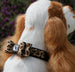 CHEETAH COUTURE BIG BOW TWO-TONE DOG COLLAR, Collars - Bones Bizzness