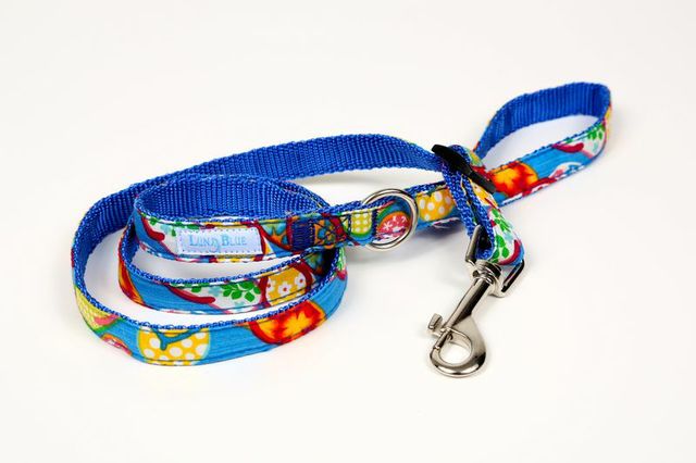 HAWAIIAN FLIP FLOP BLUE LEASH