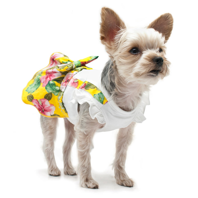 FLORAL SPLENDOR DOG DRESS, Dress - Bones Bizzness