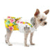 FLORAL SPLENDOR DOG DRESS, Dress - Bones Bizzness