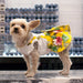 FLORAL SPLENDOR DOG DRESS, Dress - Bones Bizzness