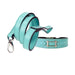 HAMILTON COLLECTION DOG LEAD IN TURQUOISE, Leash - Bones Bizzness