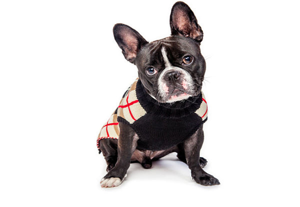 ENGLISH RED/TAN/BLACK/WHITE PLAID DOG SWEATER, Sweaters - Bones Bizzness