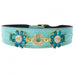 DAISY IN TURQUOISE & GOLD DOG COLLARS, Collars - Bones Bizzness