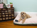 GEM DOG BED - ROSE QUARTZ | LIMITED EDITION, Beds - Bones Bizzness