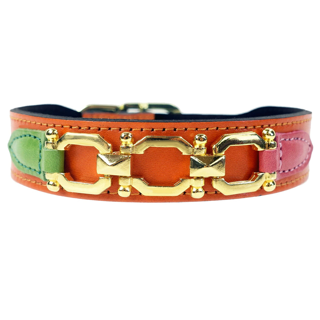 GEORGIA ROSE IN TANGERINE & GOLD W/PINK & GREEN DOG COLLAR, Collars - Bones Bizzness