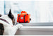 GLOBETROTTER PLUSH DOG TOY COLLECTION, Toys - Bones Bizzness