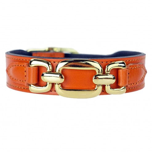 GOOD AS GOLD IN TANGERINE DOG COLLAR