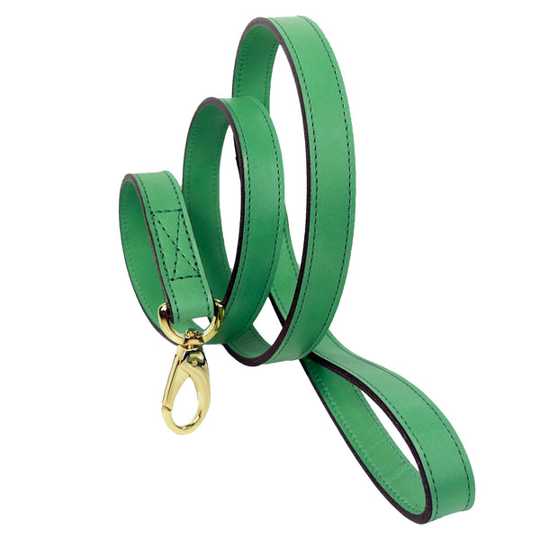 GEORGIA ROSE DOG LEAD IN KELLY GREEN & GOLD, Leash - Bones Bizzness