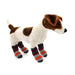 GRAY STRIPES PAWks DOG SOCKS, DOG SOCKS - Bones Bizzness