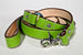 CHARTREUSE BIRDIE DOG LEASH, Leash - Bones Bizzness