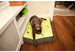 GREENERY DOG BED - PEAR/RIFLE GREEN, Beds - Bones Bizzness