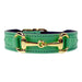 BELMONT IN KELLY GREEN & GOLD DOG COLLAR, Collars - Bones Bizzness