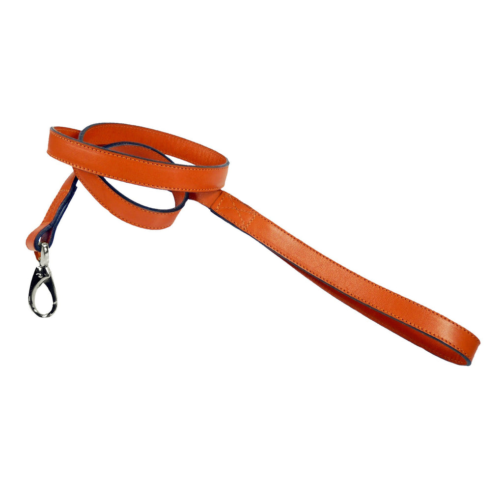 BELMONT DOG LEAD IN TANGERINE & NICKEL, Leash - Bones Bizzness