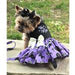 HALLOWEEN DOG HARNESS DRESS - TOO CUTE TO SPOOK (PURPLE), Dress - Bones Bizzness