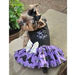 HALLOWEEN DOG HARNESS DRESS - TOO CUTE TO SPOOK (PURPLE), Dress - Bones Bizzness