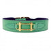 HAMILTON COLLECTION DOG LEAD IN KELLY GREEN & GOLD, Leash - Bones Bizzness