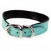 HAMILTON COLLECTION IN TURQUOISE DOG COLLAR, Collars - Bones Bizzness