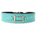 HAMILTON COLLECTION DOG LEAD IN TURQUOISE, Leash - Bones Bizzness