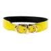 HAMILTON COLLECTION IN CANARY YELLOW PATENT & GOLD DOG COLLAR, Collars - Bones Bizzness